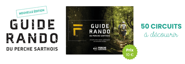 guide-rando